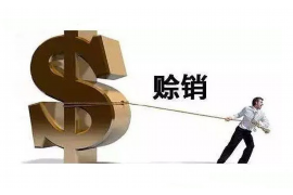 梨树县贷款清欠服务